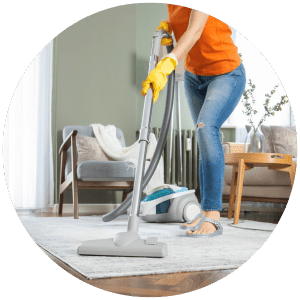 Maids Orland Park IL